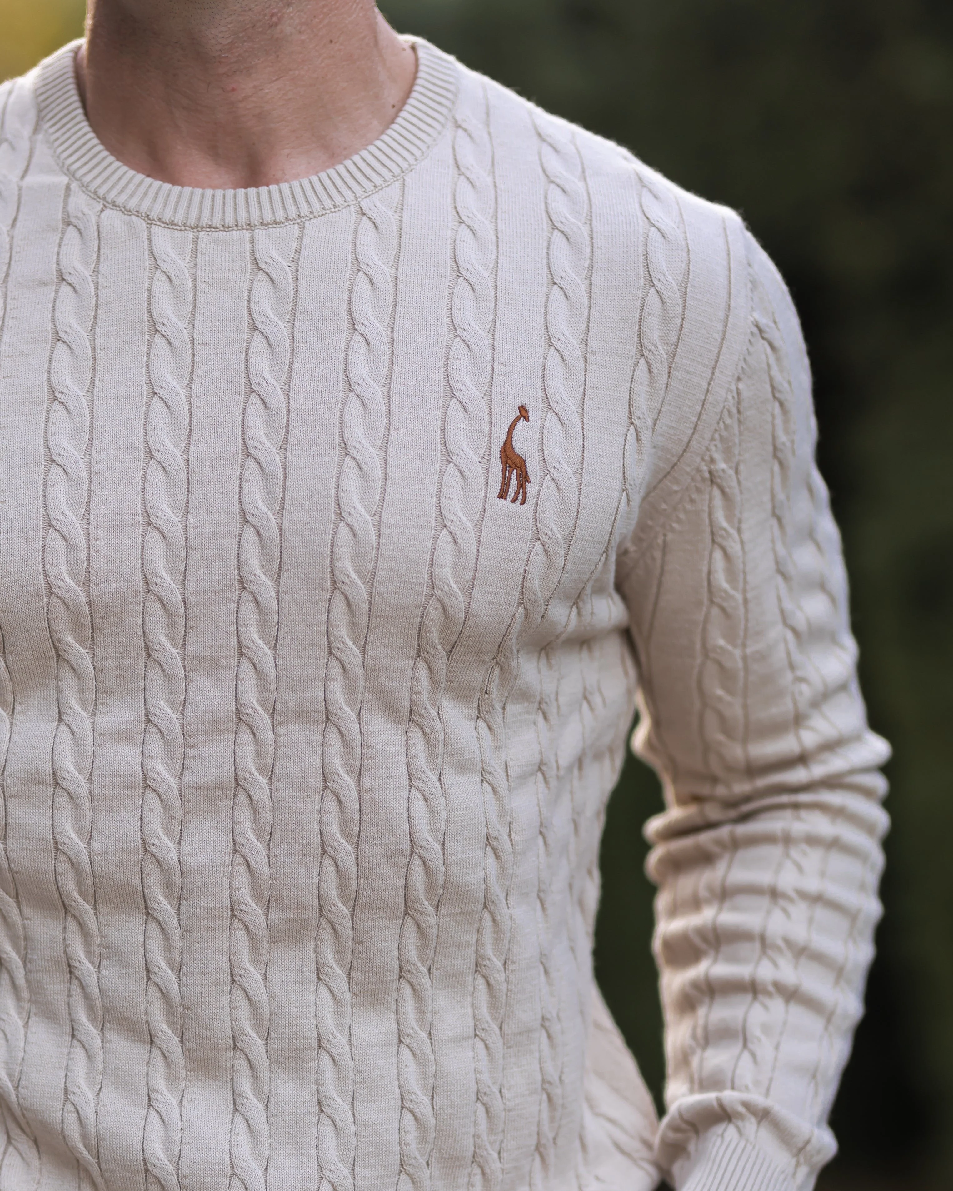 Herren Zopfmuster Strickpullover aus Baumwolle - Image 2